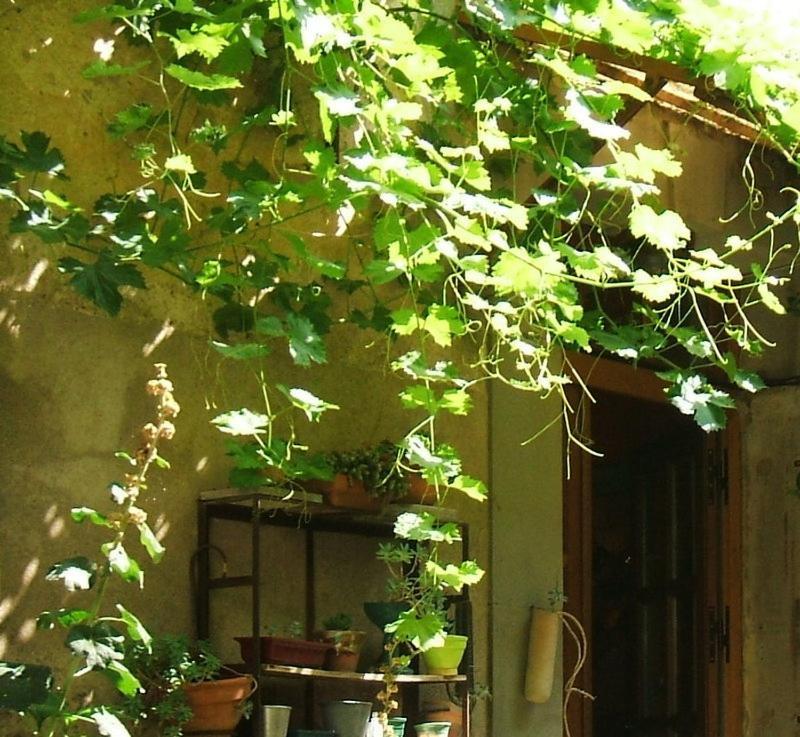 La Vigne Bleue Hotel Olonzac Eksteriør billede